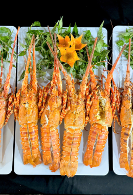 XE LAM QUÁN – PHAN THIẾT