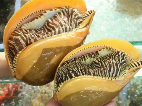 Quán XE LAM PHAN THIẾT